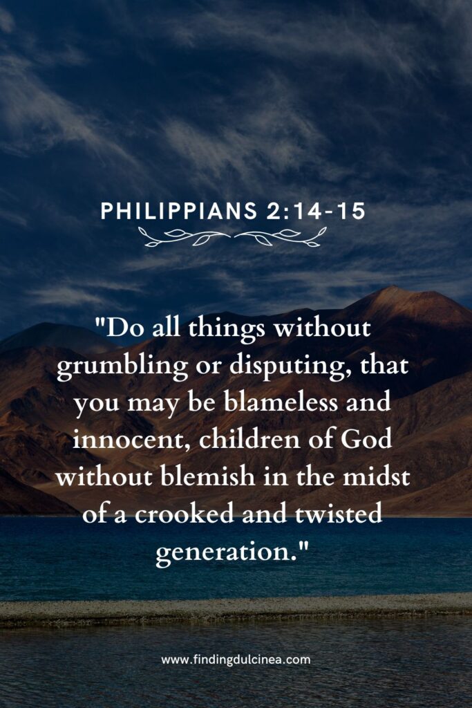 bible verse for revenge